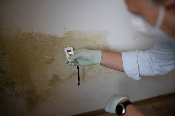 Best Bathroom Mold Remediation in Indian Mountain Lake, PA